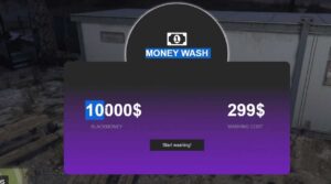 esx money wash