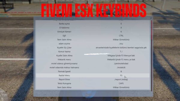 Discover top-notch fivem esx keybinds services, from script development to server customization and optimization, for immersive roleplay experiences.