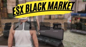 Unlock the secrets of the virtual underworld with fivem esx black market. Learn how to add items to ESX black market for an immersive