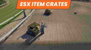 Discover the ultimate guide to Esx Item Crates, a premier solution for managing and customizing item crates in your game server.