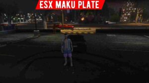 Discover the ultimate guide to Esx maku plate, a premier solution for managing and customizing license plates on your game server.